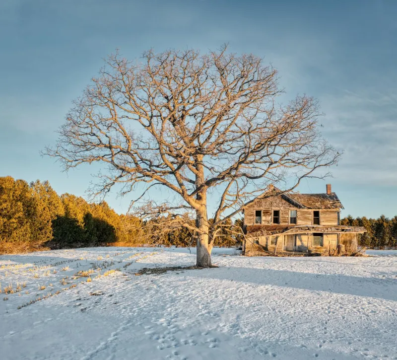 No Diploma, No Problem: The Kentucky Farm Boy Who Lit Up the Rural South